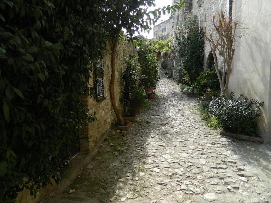 Appartement Casa Dell'Oliveto "Parcheggio Gratuito" à Narni Extérieur photo