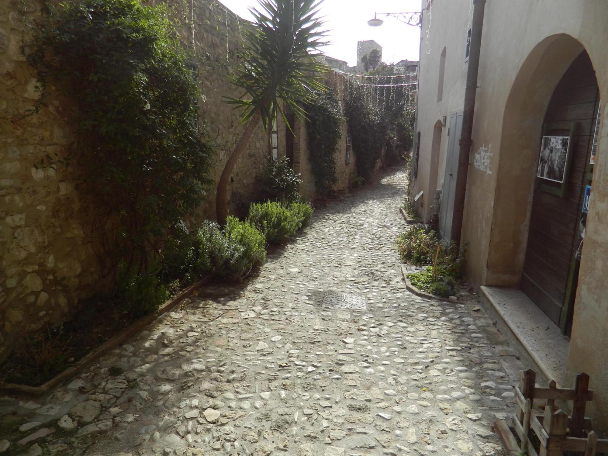 Appartement Casa Dell'Oliveto "Parcheggio Gratuito" à Narni Extérieur photo